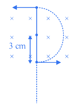 JEE Main 2023 (Online) 1st February Morning Shift Physics - Magnetic Effect of Current Question 27 English Explanation